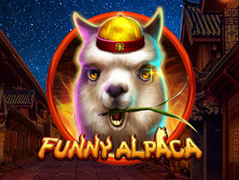 Funny Alpaca