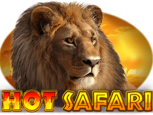 Hot Safari